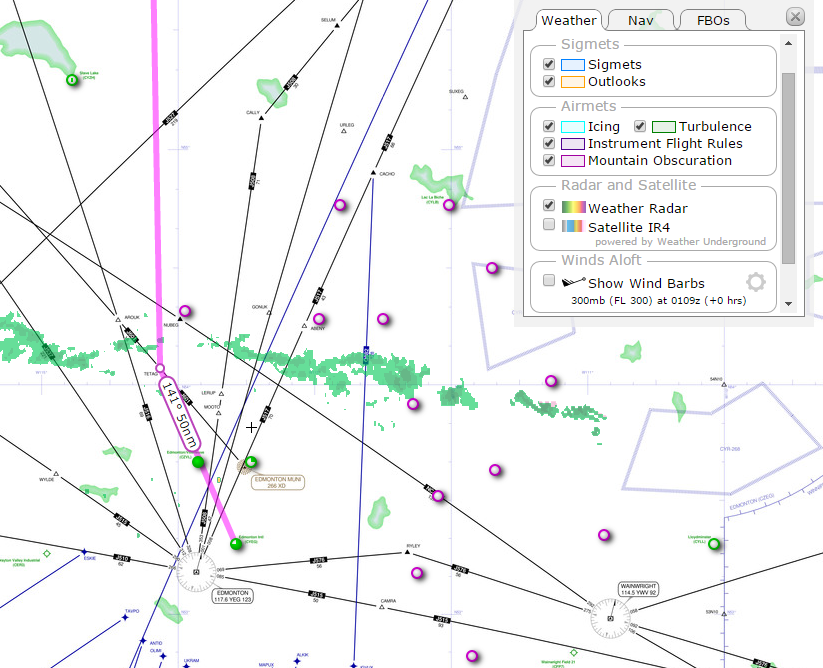 Figure 2: The SkyVector Weather Radar Overlay